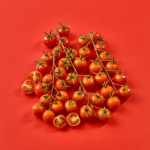 Cherry Tomatoes on the Vine