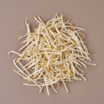 Beansprouts