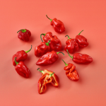 Scotch Bonnet Chillies