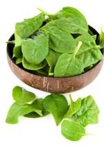 Baby Spinach