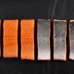Scottish Salmon Fillet Supremes