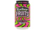 RADNOR Fruits Apple & Raspberry (Can)