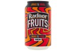 RADNOR Fruits Orange & Mango (Can)