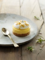 TRAITEUR DE PARIS Lemon Meringue Pie