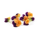 Edible Mixed Flowers