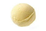 SYSCO CLASSIC Dairy Vanilla Pod Ice Cream