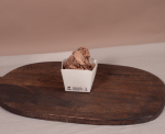NOTPLA Open Food Box 300ml