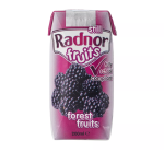 RADNOR HILLS Forest Fruits Tetra-Pak