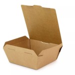 SYSCO EARTH PLUS Medium Food To Go Box