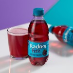 RADNOR Fizz Sparkling 45% Juice in Forest Fruits (Bottle)