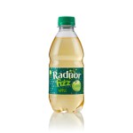 RADNOR Fizz Sparkling 45% Juice in Apple (Bottle)