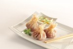 SCHEFF FOODS Cranberry & Brie Wontons