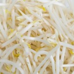 Beansprouts